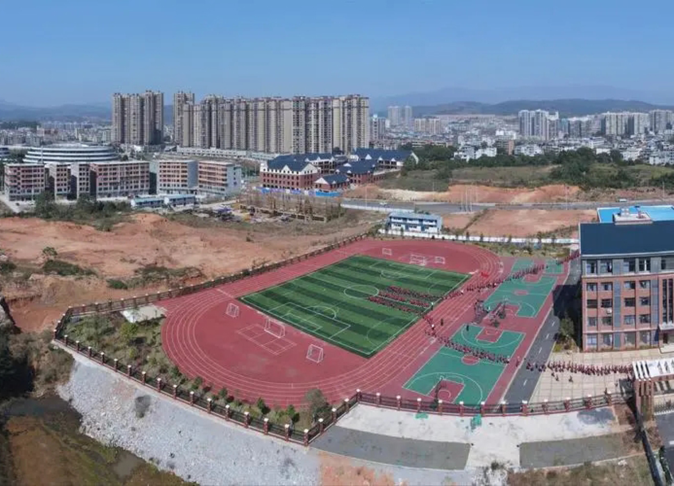 Linwu Tenth Primary School Project